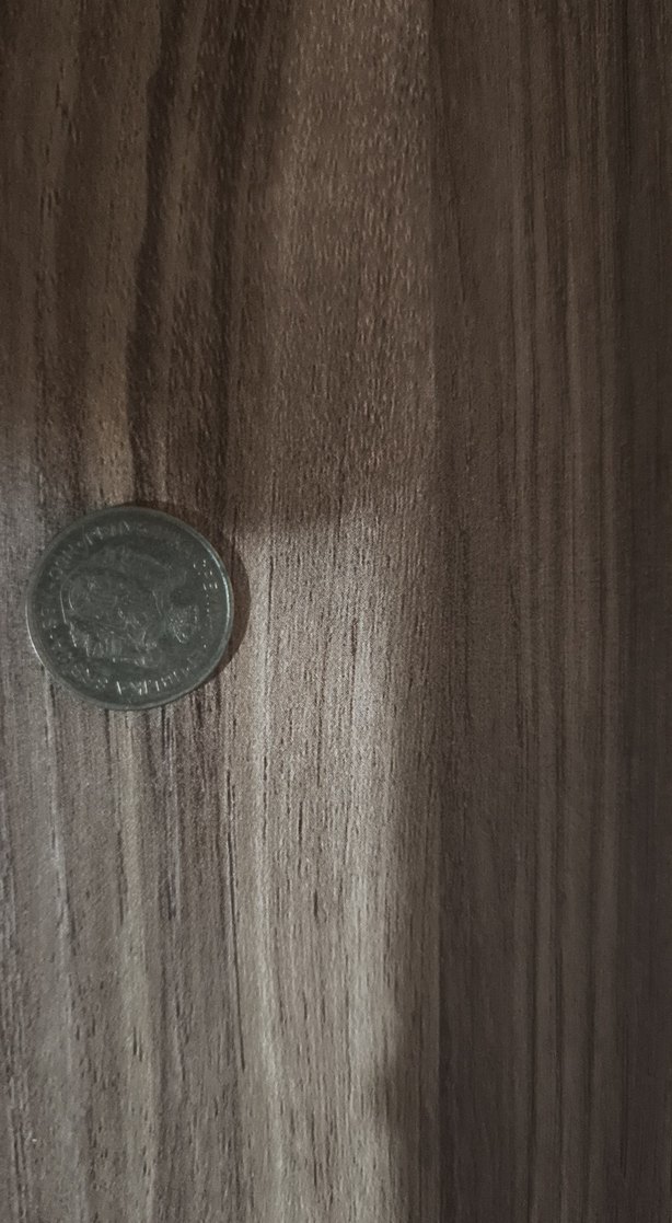 Sırp Dinarı 1 - Görsel 2