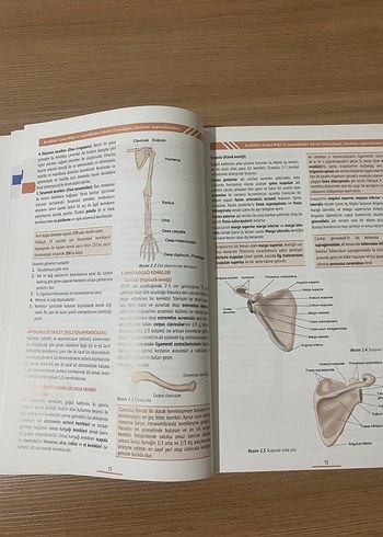 Sağlık Bilimleri için Resimli Temel Anatomi Kitabı - Görsel 3