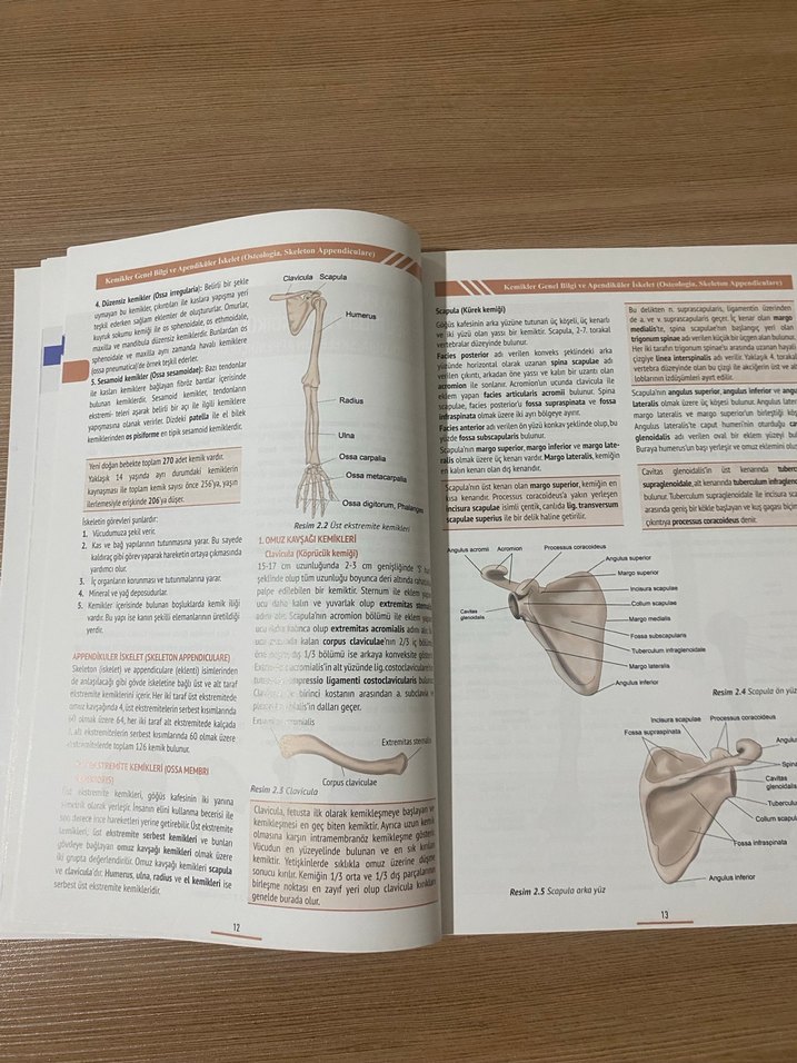 Sağlık Bilimleri için Resimli Temel Anatomi Kitabı - Görsel 3