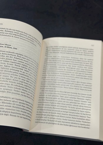 Elif Şafak - Aşk Romanı - Görsel 3