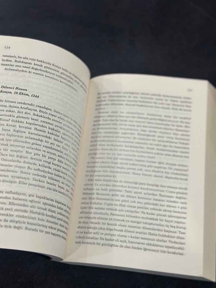 Elif Şafak - Aşk Romanı - Görsel 3