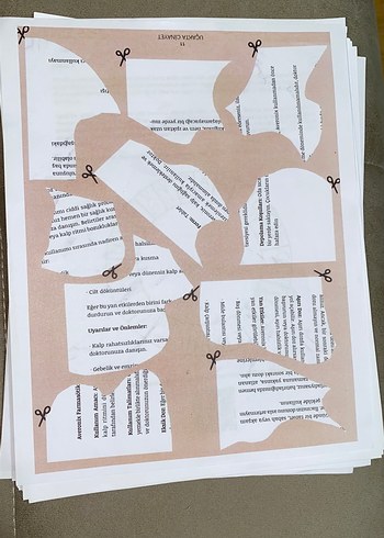 Uçakta Cinayet - Gizemli Suçlar dedektif oyunu - Görsel 5