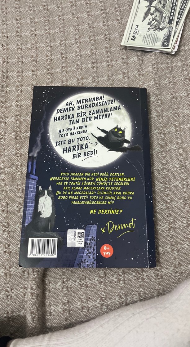 Ninja Kedi Toto: Yılan Firarda! - Görsel 5