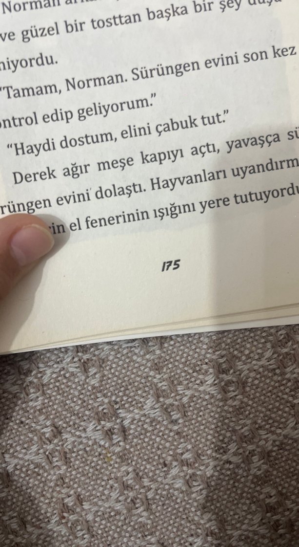 Ninja Kedi Toto: Yılan Firarda! - Görsel 3