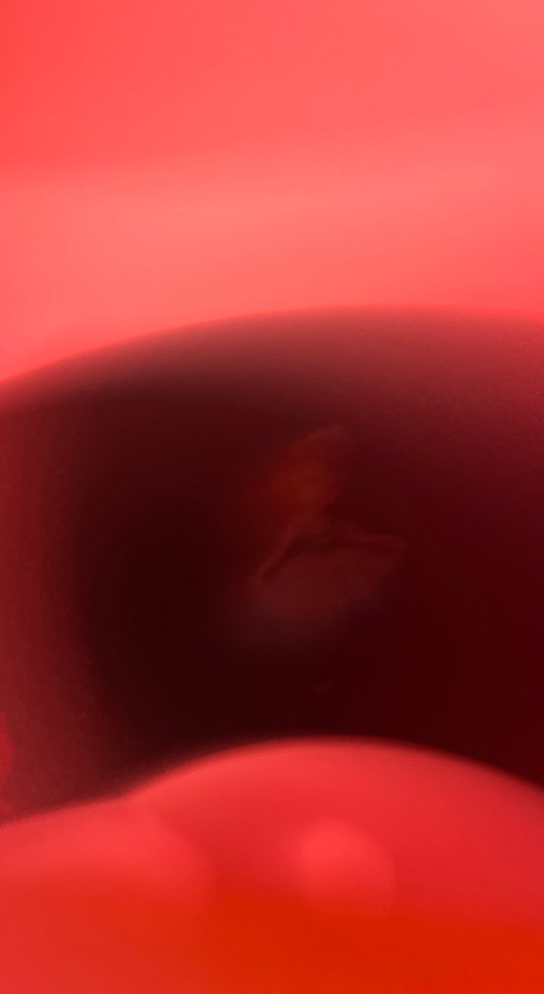 Pastel Renkli Çocuk Battaniyesi - Görsel 5