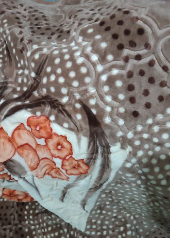 1000 TL kalın aksu - Görsel 2