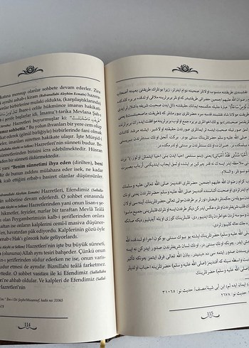  Beden Renk Mektubat-ı Mahmûdiyye1 - Mahmud Efendi Mektupları