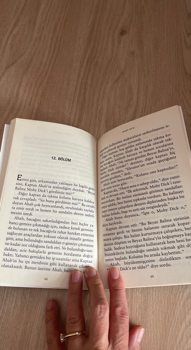 Herman Melville - Moby Dick Kısaltılmış Metin - Görsel 3