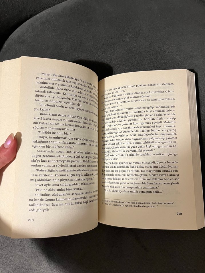 Mihmandar - İskender Pala - Görsel 3