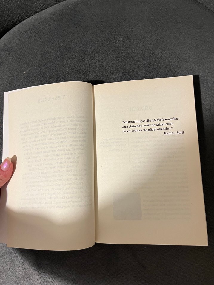 Mihmandar - İskender Pala - Görsel 4