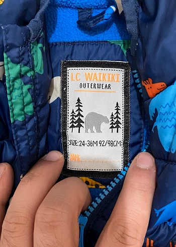 Kapüşonlu Renkli Desenli Erkek Çocuk Mont - Görsel 2