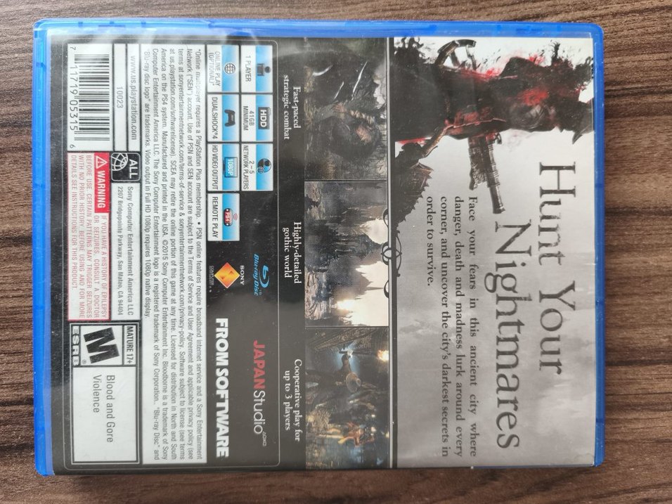 Bloodborne PS4 Oyunu - Görsel 2