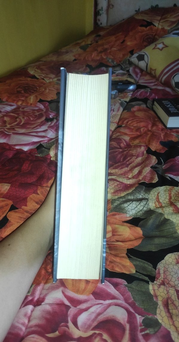 Hepimiz Gökyüzü Olmak İstedik - Lordlar ve Varisler 1. kitap - Görsel 4