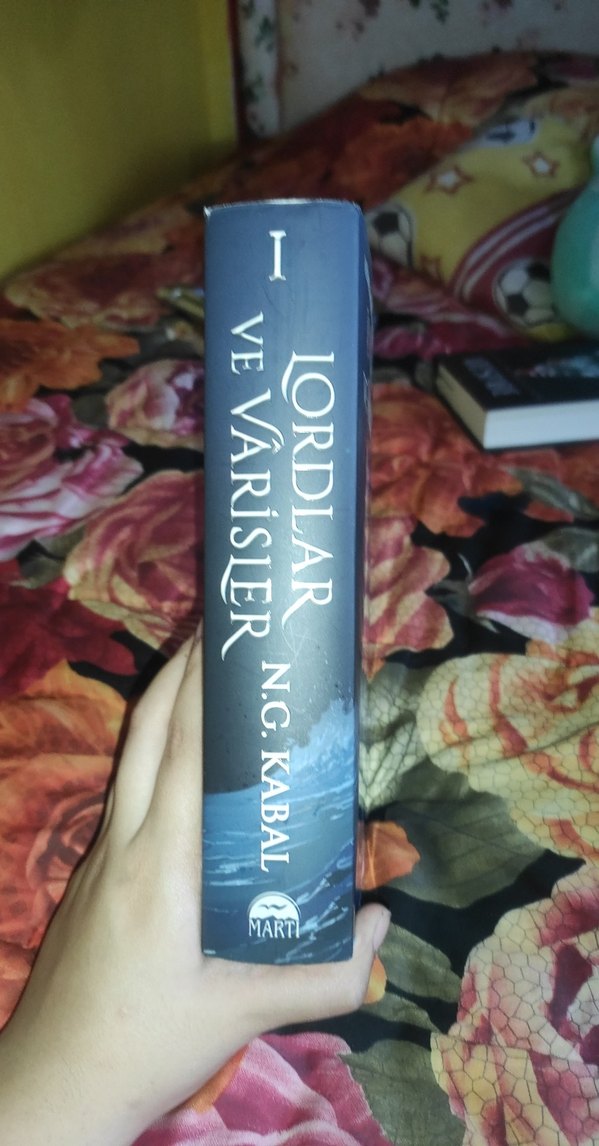 Hepimiz Gökyüzü Olmak İstedik - Lordlar ve Varisler 1. kitap - Görsel 2