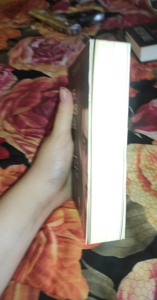 (CEP BOY) Kimse Gerçek Değil - Zeynep Sey - Görsel 2