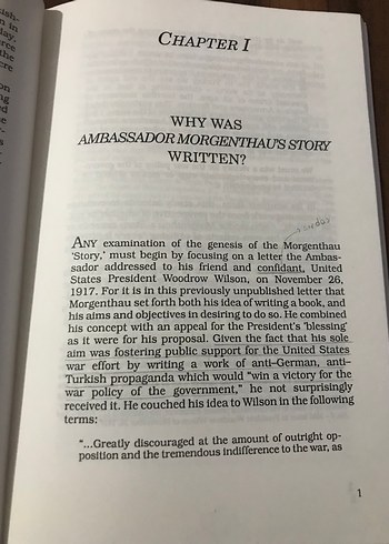 Ambassador Morgenthau'nun Hikayesinin Arkasındaki Öykü - Görsel 2