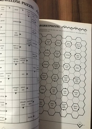 Zweeds Puzzelboek - 160 Sayfa almanca - Görsel 2