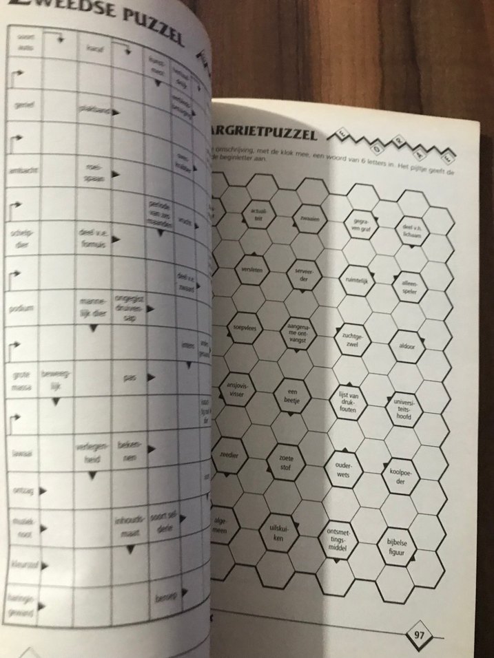 Zweeds Puzzelboek - 160 Sayfa almanca - Görsel 2