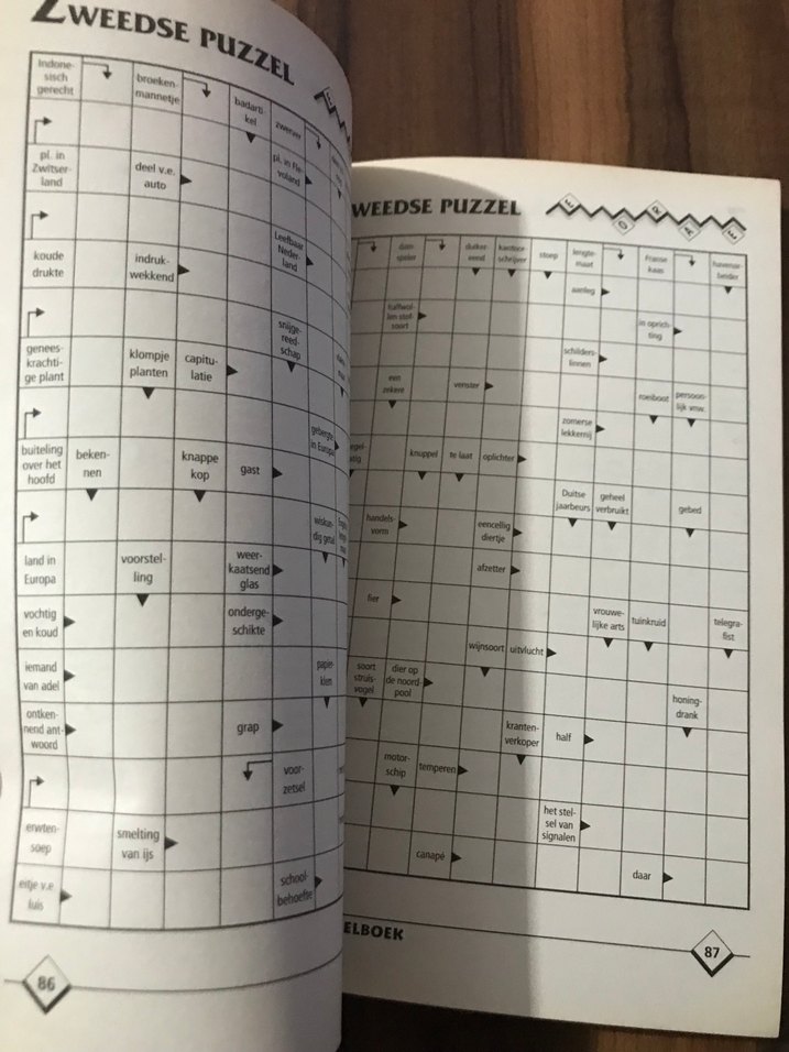 Zweeds Puzzelboek - 160 Sayfa almanca - Görsel 3