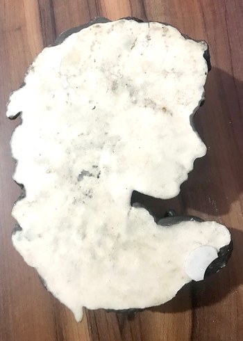 Yılan Saçlı Gri Medusa Figür duvar dekoru - Görsel 3