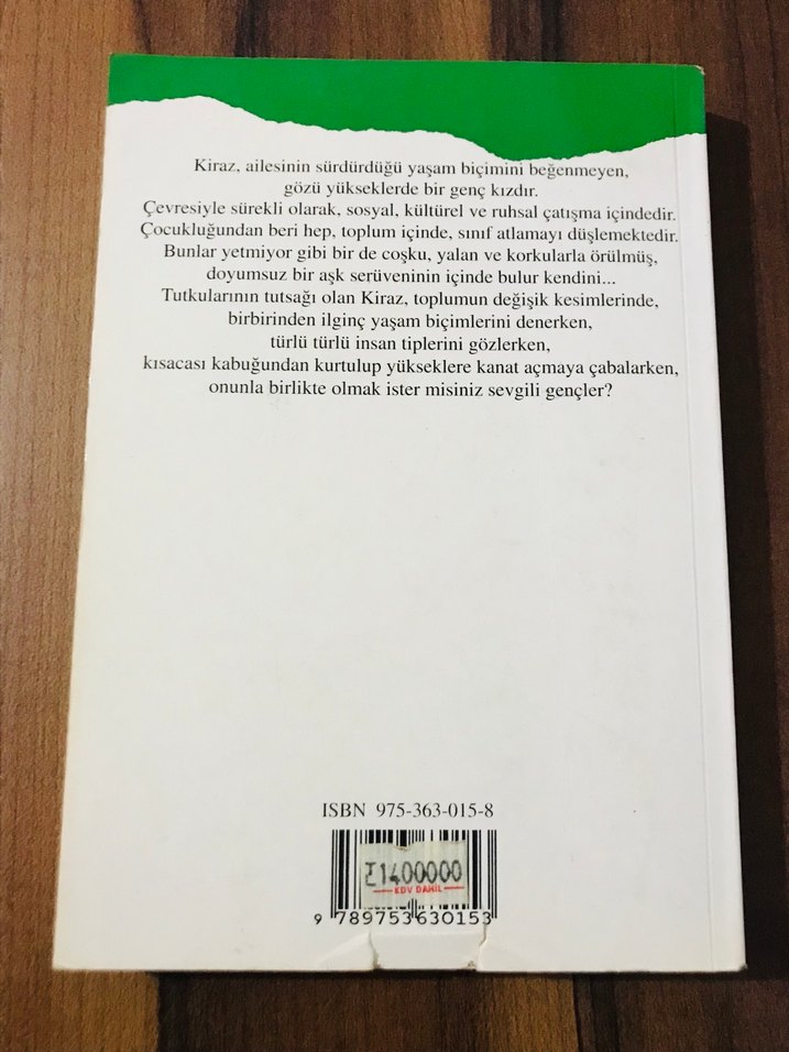 Yeşil Kiraz - Gülten Dayıoğlu - Görsel 2