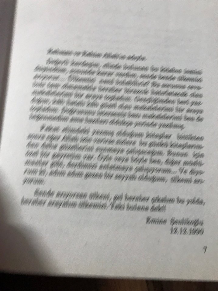 Ülkemi Arıyorum - Emine Şenlikoğlu - Görsel 2