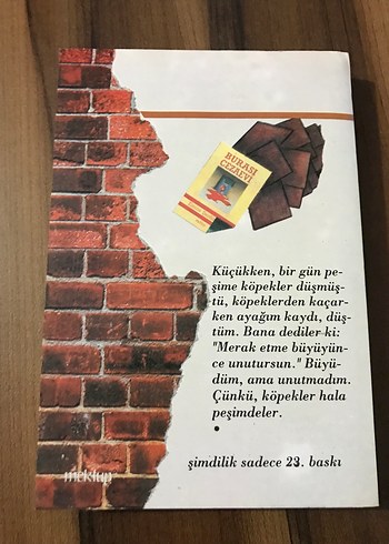 Burası Cezaevi - Emine Şenlikoğlu - Görsel 2