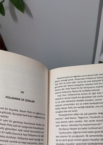 Pollyanna - Eleanor H. Porter Çocuk Kitabı - Görsel 3