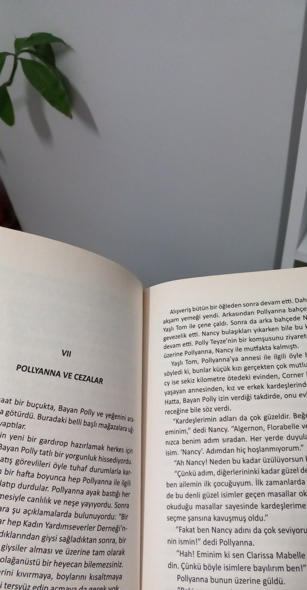 Pollyanna - Eleanor H. Porter Çocuk Kitabı - Görsel 3