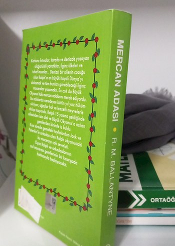 Mercan Adası - 100 Temel Eser Çocuk Kitabı - Görsel 2