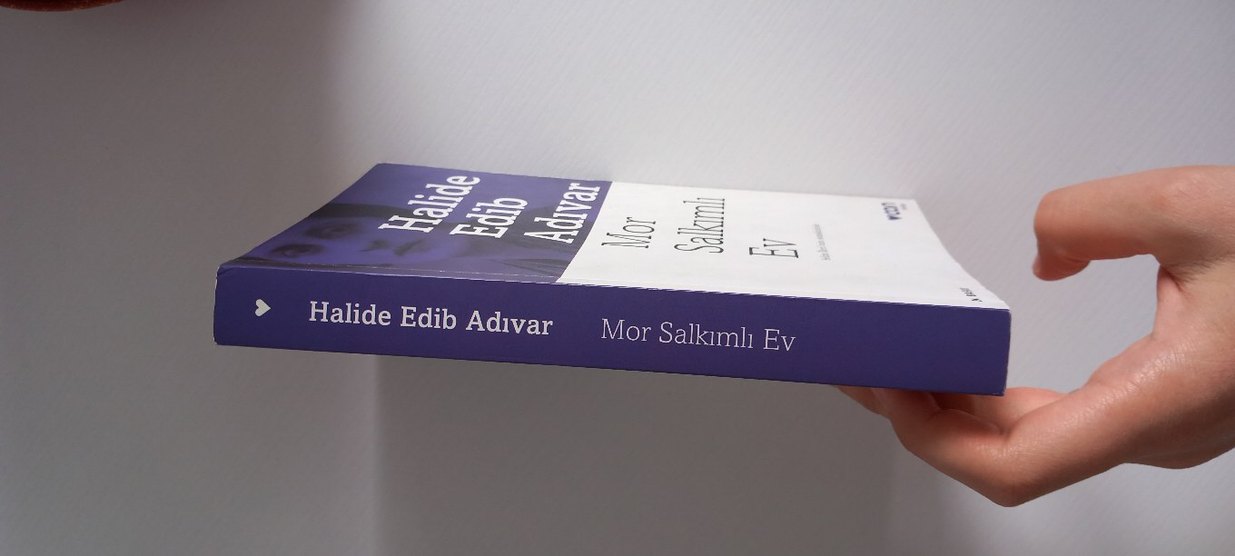 mor salkımı ev - Görsel 2