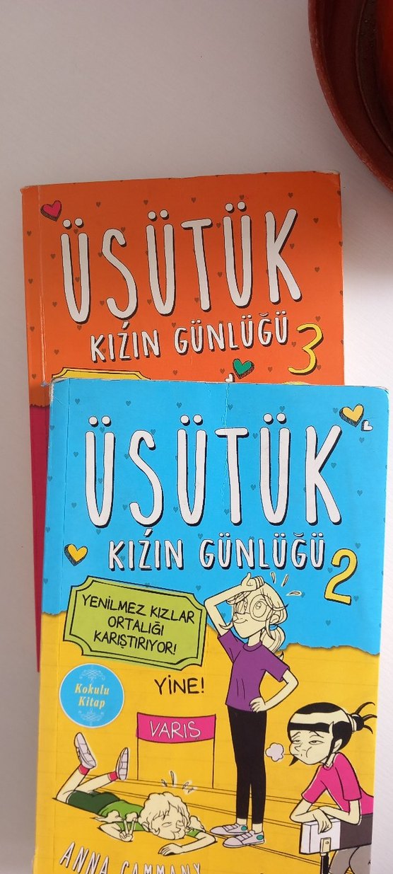 Üşütük Kızın Günlüğü Serisi 2 Kitap - Görsel 2