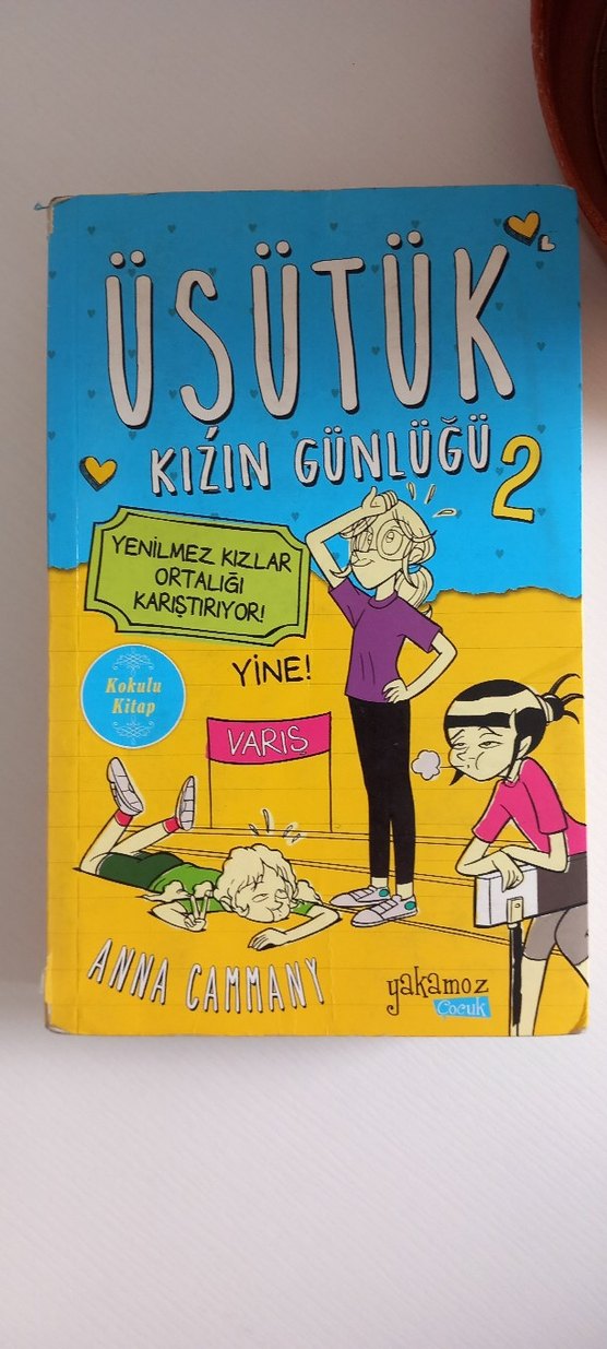 Üşütük Kızın Günlüğü Serisi 2 Kitap - Görsel 3