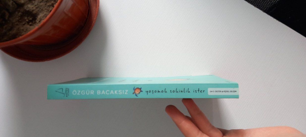 Yaşamla Sakinlik İster - Kişisel Gelişim Kitabı - Görsel 2