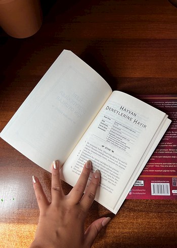 Beden Renk The Playbook, The Bro Code, Bro On The Go