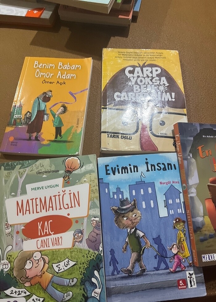 MATEMATİĞİN KAÇ CANI VAR - Görsel 2