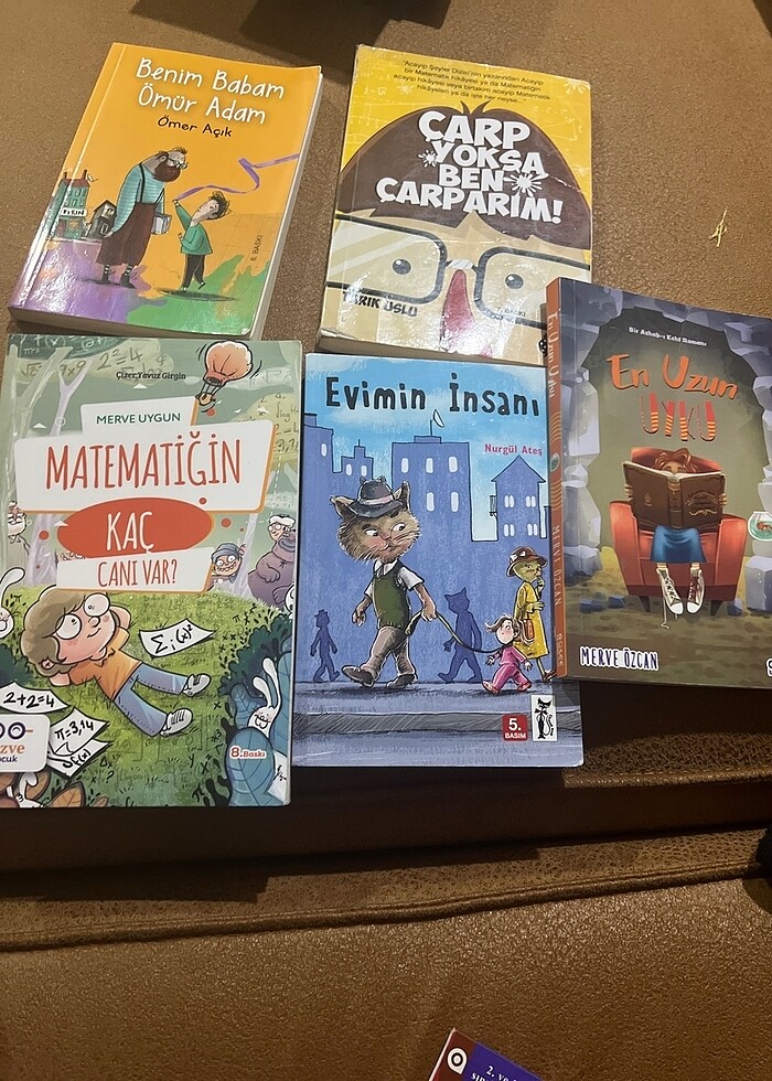 MATEMATİĞİN KAÇ CANI VAR - Görsel 3