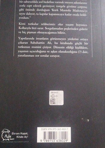  Kürk Mantolu Madonna - Roman