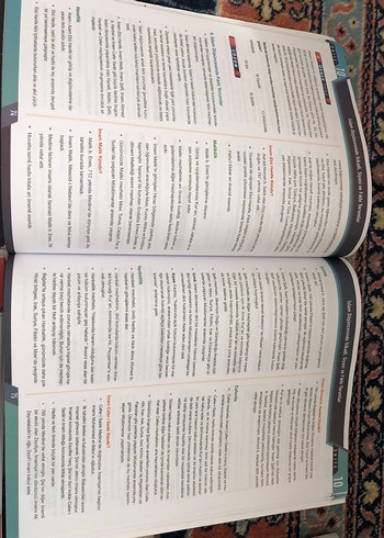 TYT SOSYAL HEPSİ TARİH SOSYAL DİN FELSEFE SIFIR HEPSİ - Görsel 4