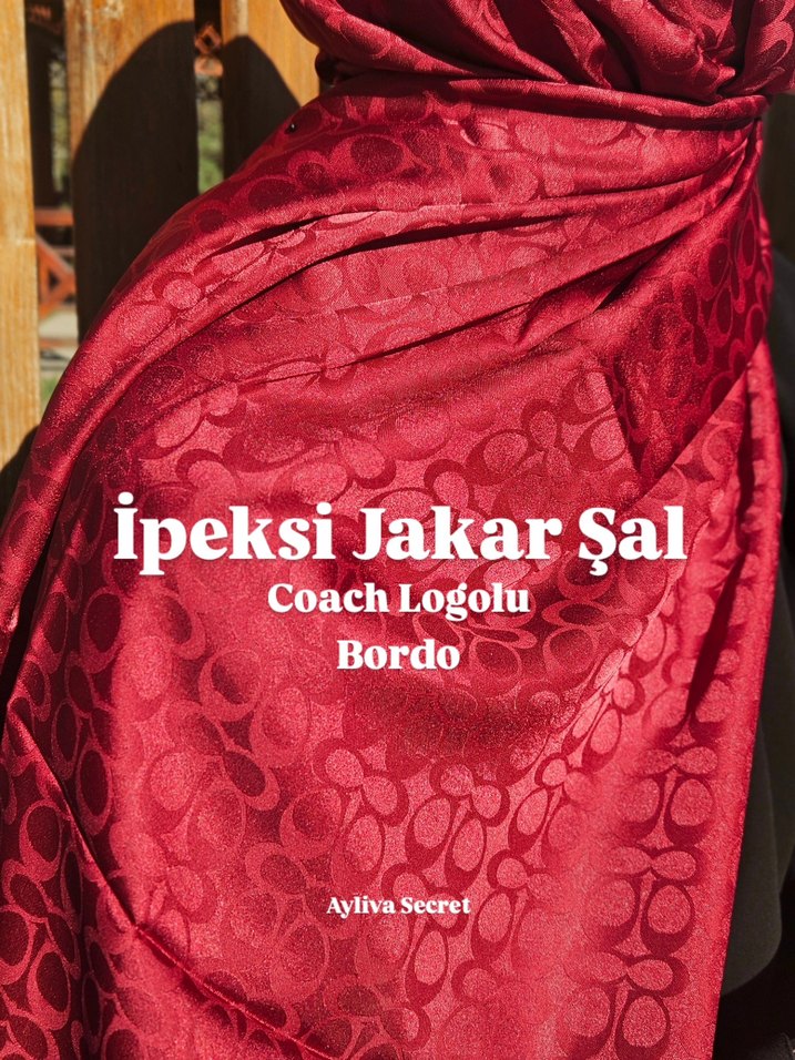 Gri Drapeli Kadın Şal - Coach Logolu - Görsel 2