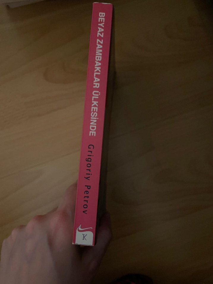 Beyaz Zambaklar Ülkesinde - Grigoriy Petrov - Görsel 3