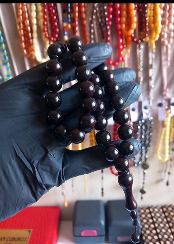 ABANOZ AĞACI 15 SENELİK MAMÜL - Görsel 2