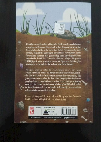 Eski Dostum Kertenkele - Emine Arlı - Görsel 2