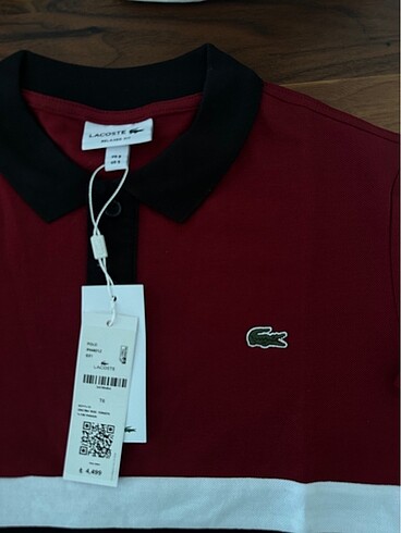 s Beden bordo Renk Lacoste Tshirt