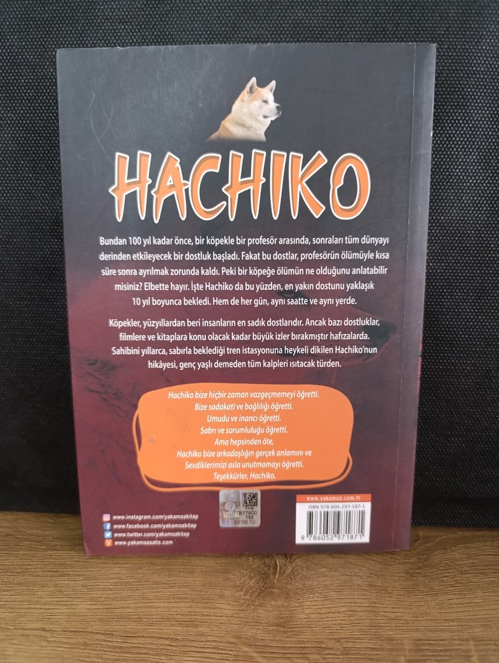 Hachiko - Bir Köpeğin Hikayesi - Görsel 2