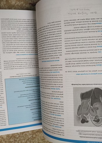 Hemşirelik Esasları - Görsel 7