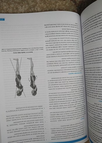 Hemşirelik Esasları - Görsel 4