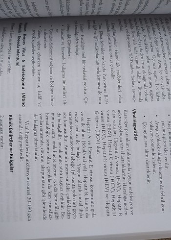 Temel Hemşirelik Yaklaşımları Kitabı - Görsel 4