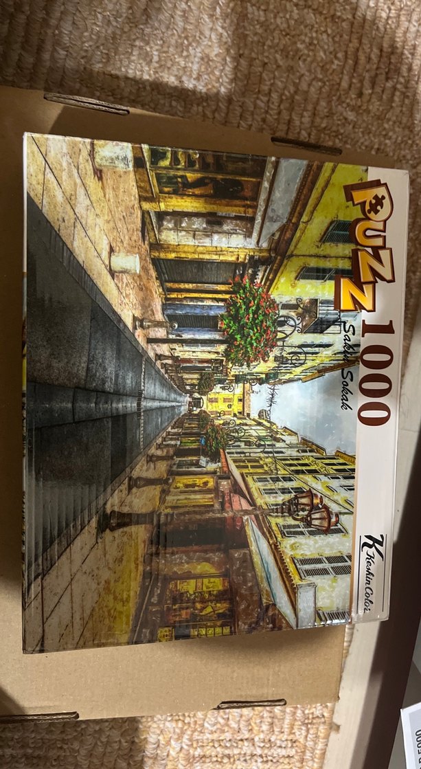 1000 Parça Sakin Sokak Puzzle - Görsel 3