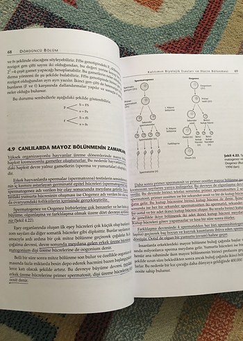 Genetik (Örnek Problemlerle) - Palme Yayınevi - Görsel 3
